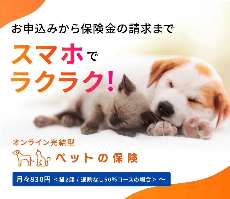 お申し込みから保険金の請求までスマホでラクラク！ クレジットカード払い Pontaポイント払い 月々830円〜