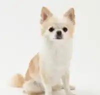 例2イメージ
