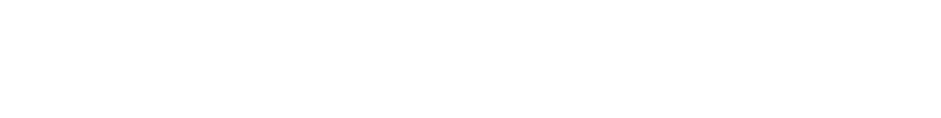 お手ごろな保険料