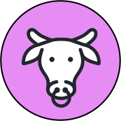 Taurus