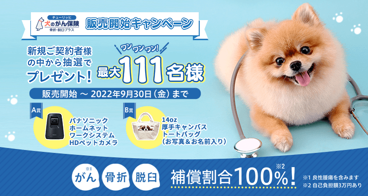チューリッヒ　犬のがん保険（骨折・脱臼プラス） 販売開始キャンペーン！